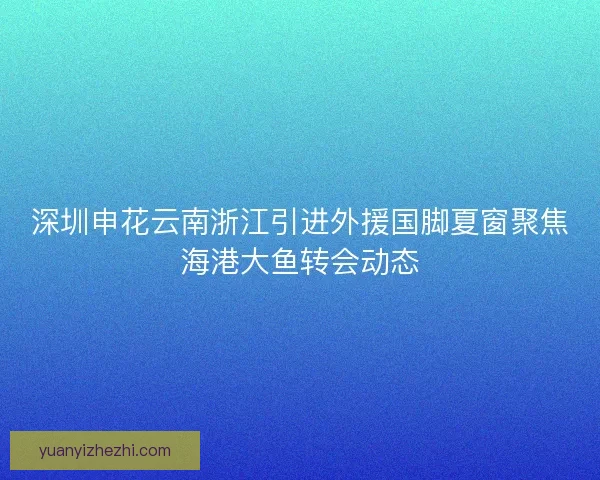 深圳申花云南浙江引进外援国脚夏窗聚焦海港大鱼转会动态